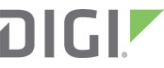 Digi International